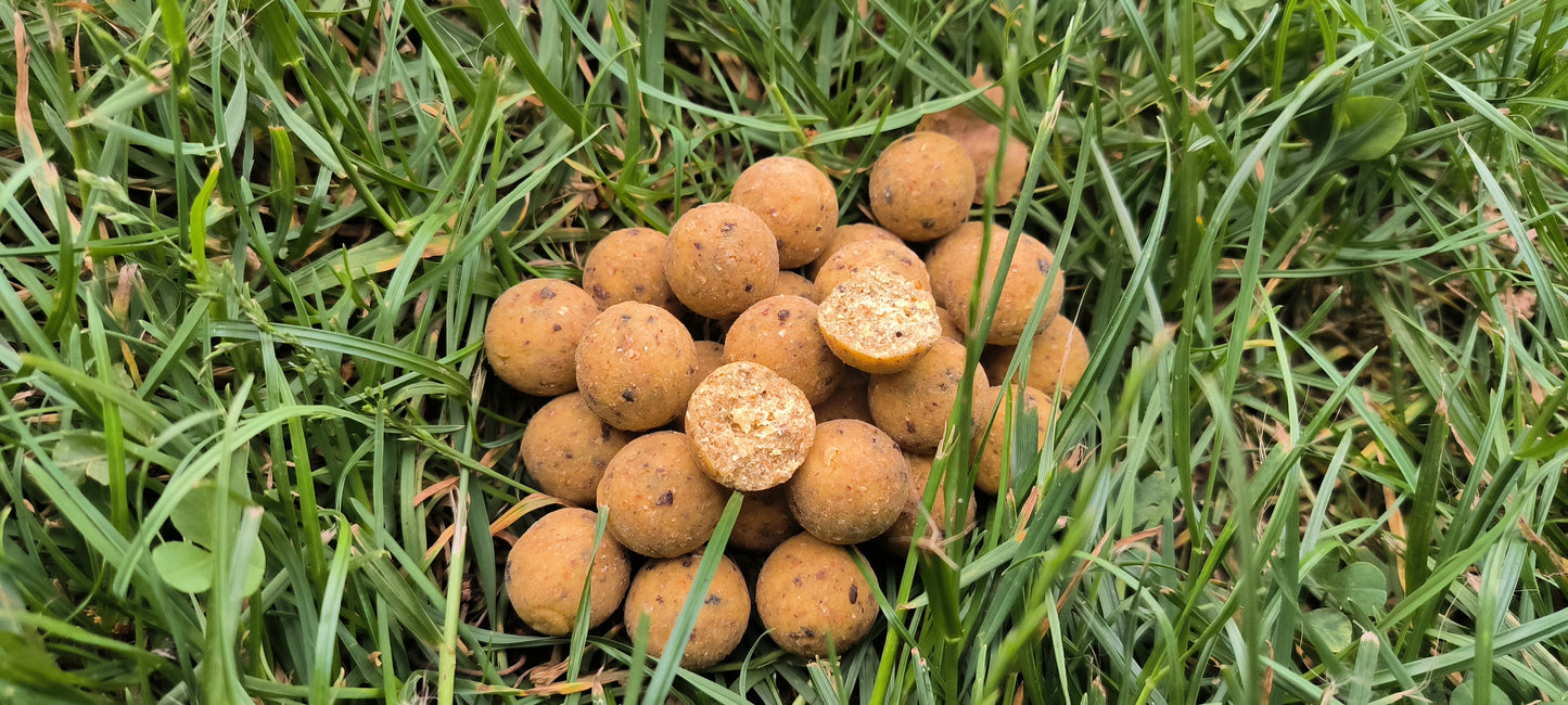 Digest X 5kg 20 mm